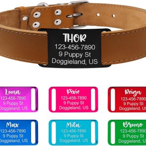 Rectangle slide on Pet ID Tag