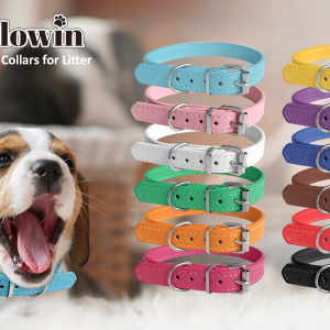 Custom engraved Leather Collar
