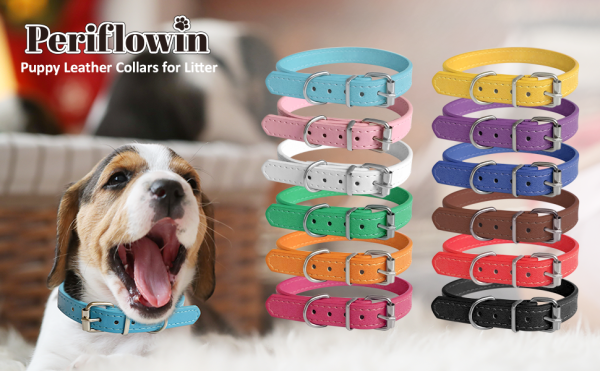 Custom engraved Leather Collar